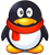 3036579058